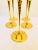 1960s Gold-Plated Prince of Metternich Special Edition Champagne Flutes, Set of 5 For Sale - Image 5 of 9