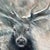 Noemi Kosmowski “Smoky Day” Original Stag Oil Painting, 2025 For Sale - Image 4 of 12