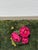 John-Richard Collection Garden Delight Panels, Set of Two For Sale - Image 11 of 12