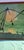 1970s Unknown, Green Background, 1970, Lacquer on Panel For Sale - Image 5 of 13