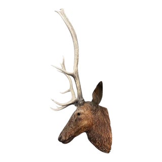 Late 19th Century Wood Carved Stag Head Blakc Forest Deer Carving For Sale