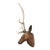 Late 19th Century Wood Carved Stag Head Blakc Forest Deer Carving For Sale