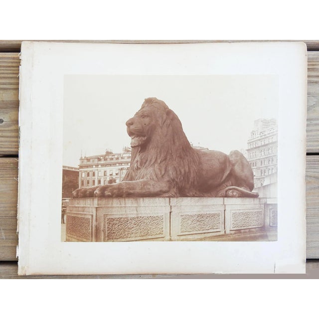 English Antique 1880's Frith Photograph, London England Hyde Park Lion For Sale - Image 3 of 3