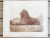 English Antique 1880's Frith Photograph, London England Hyde Park Lion For Sale - Image 3 of 3