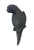 Industrial Vintage Cast Iron Parrot Wall Hanging Sculpture For Sale - Image 3 of 11