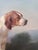 Mid 19th Century Antique 19th Century Oil Painting Portrait of Two English Pointer Dogs For Sale - Image 5 of 17