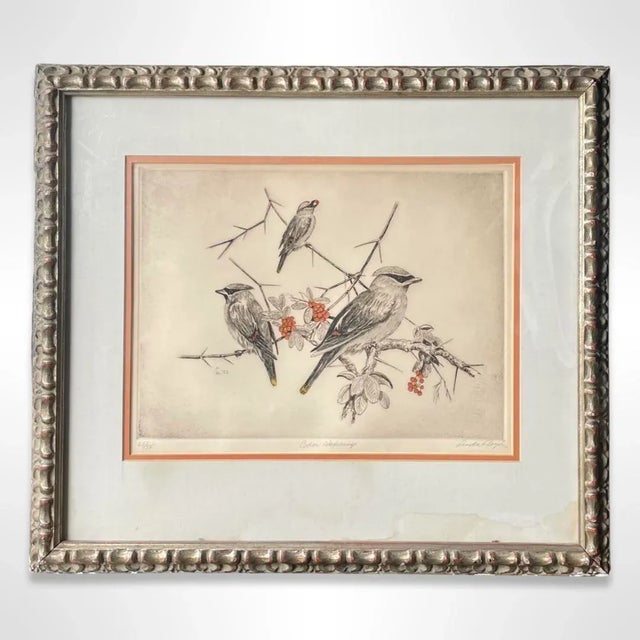 White Vintage Linda Lloyd “Cedar Waxwings” Etching Print of Birds, Signed & Framed For Sale - Image 8 of 8