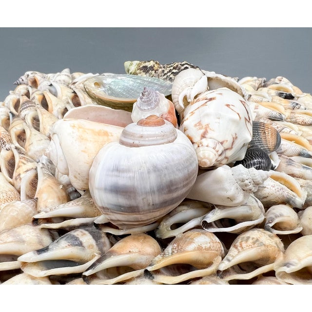 Vintage Coastal Seashell Covered Shell Encrusted Box – Coastal / Tropical For Sale - Image 14 of 18