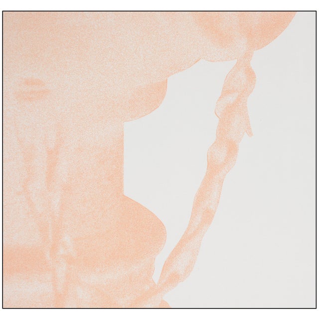 Robert Rauschenberg 1970 Unit (Hydrant) (f.107) Pop Art Peach Lithograph Robert Rauschenberg For Sale - Image 4 of 7