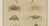 Paper Bertuch, Exotic Crabs & Fiddler Crab, 1813, Engraving For Sale - Image 7 of 9