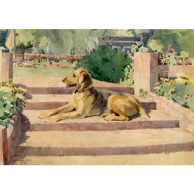 Nancy Jane Burton RWS, Terrier Dog on Garden Steps, 1920s, Watercolor For Sale - Image 7 of 7