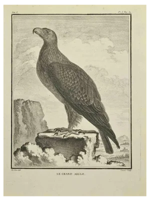 C. Lucas, Le Grand Aigle, Etching, 1771