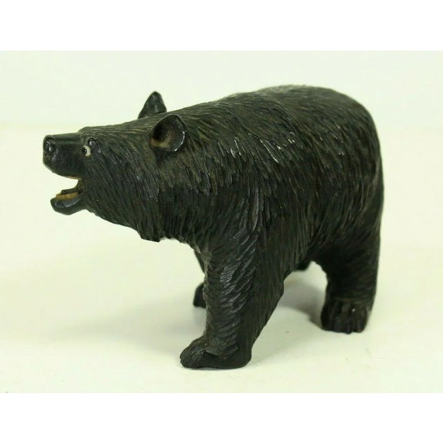 Black Forest 19th Century Black Forest Carved Wood Figurine of a Bear With Glass Eyes For Sale - Image 4 of 13