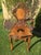 Artist: Forêt Noire - Brienz Period: 20th century Style: Other Style Condition: Excellent condition Height: 95cmDepth:...