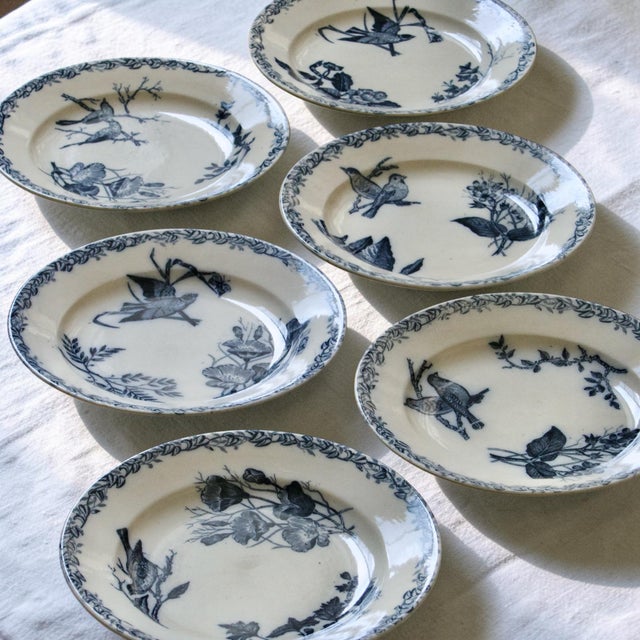 Set of six wonderful and rare antique 19th-century ironstone dinner plates, signed Onnaing, decorated with birds. The...
