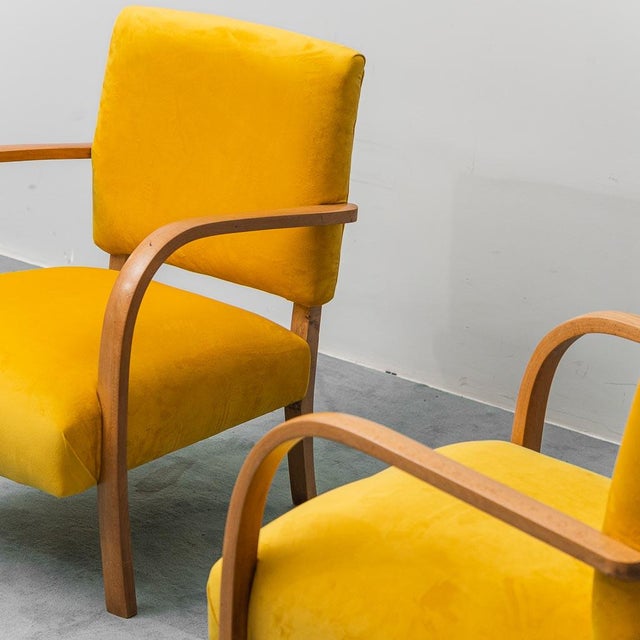 Yellow Velvet and Wood Chairs, 1950s, Set of 2 For Sale - Image 3 of 12
