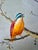 Wood Signed Vintage Wild-Bird Oil Painting by Jeanine Albert For Sale - Image 7 of 13
