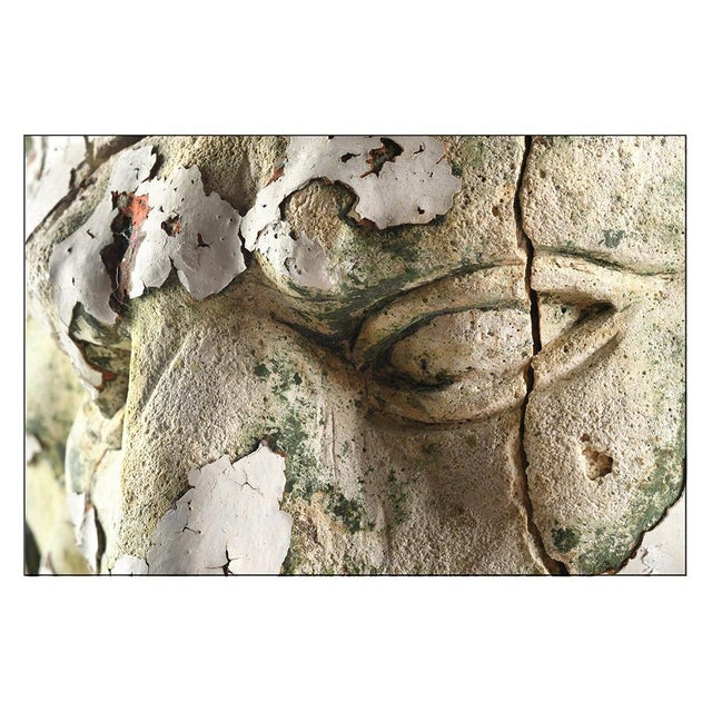 Belgian Terracotta Lion-Shaped Head Sculpture For Sale - Image 3 of 5