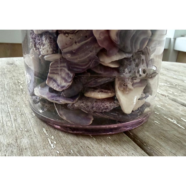 1900 - 1909 Antique Maganese Mason Jar With Wampum Shells For Sale - Image 5 of 7