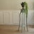 A mint green, lacquered wooden flower stand with two shelves and curved legs. Its design is inspired by art nouveau flower...