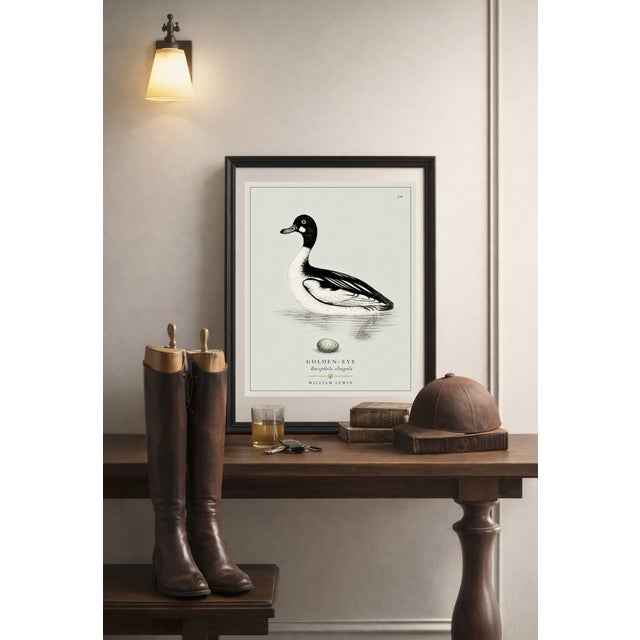 Paper William Lewin 1789 Waterbirds Fine Art Gallery Board Print - The Golden Eye For Sale - Image 7 of 11