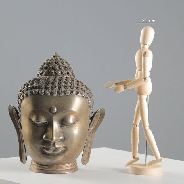 Bronze head of Buddha depicted in a meditative expression, with thick curly hair gathered in an 'ushnisha' on the crown of...