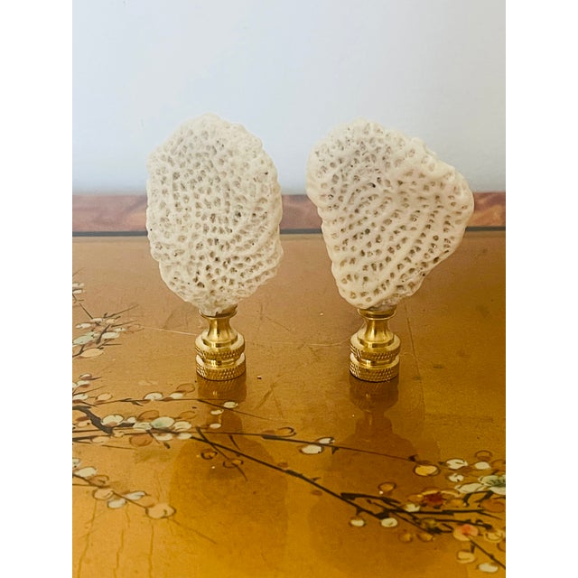 Original natural history sea coral specimens fragments on brass bases as lamp finials.