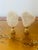 Original natural history sea coral specimens fragments on brass bases as lamp finials.