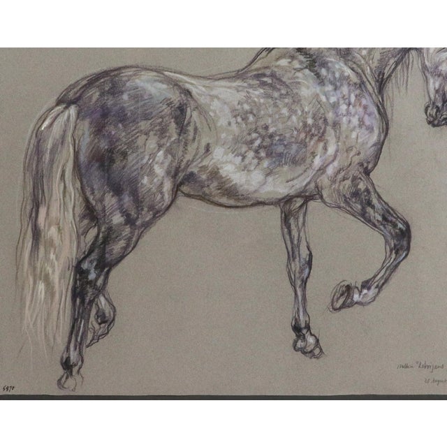 Modern Horse Pastel by Leslie Charlotte Benenson of Stallion 'Lebrijano' , an Andalusian Horse, Dated 20th August 1995 For Sale - Image 3 of 7