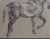 Modern Horse Pastel by Leslie Charlotte Benenson of Stallion 'Lebrijano' , an Andalusian Horse, Dated 20th August 1995 For Sale - Image 3 of 7
