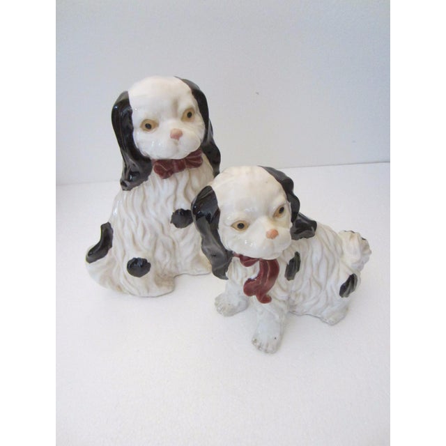 Staffordshire Style English Spaniels Cavalier Comforter Dogs For Sale - Image 10 of 11