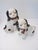Staffordshire Style English Spaniels Cavalier Comforter Dogs For Sale - Image 10 of 11
