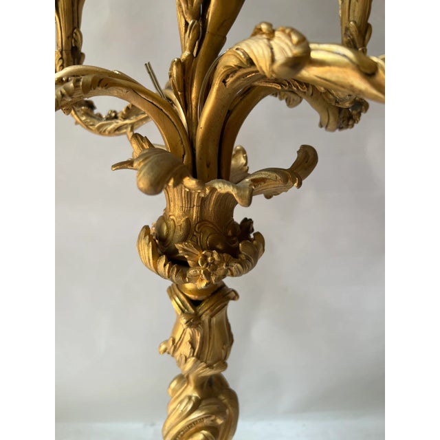 French Early 20th Century French Gilt Brass Louis XV Style 5 Light Candelabra For Sale - Image 3 of 12