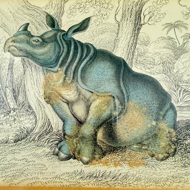 A hand-colored copper engraving from the original drawing by James Hope Stewart, of an Indian Rhinoceros, circa 1836 –...