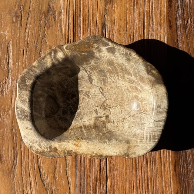 Oval Beige Petrified Wood Bowl, 1980s For Sale - Image 4 of 7