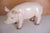1970s Vintage Large Butcher's Pig Shop Display, Former Czechoslovakia, 1980s For Sale - Image 5 of 12