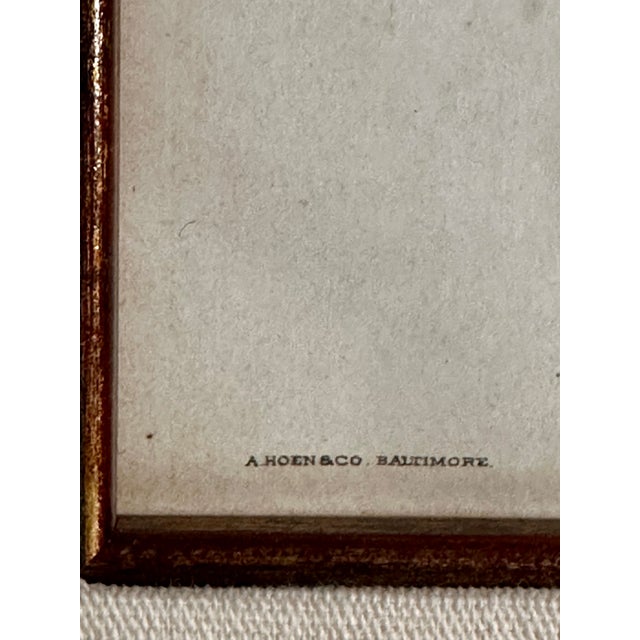 1900 - 1909 Original Antique 1903 Usda York Imperial Apple Chromolithograph | Lyons Ltd. Provenance | Armand Lee Custom Framing | Bertha Heiges For Sale - Image 5 of 16