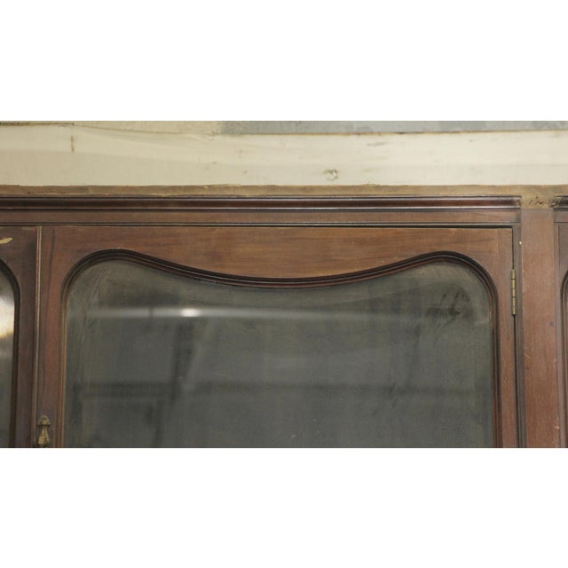 Traditional Grand English Walnut Curved Display Showcase For Sale - Image 3 of 5