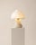 Umbra Alabaster Table Lamp by Luis Gimeno For Sale - Image 11 of 13