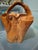Vintage Handcarved Large Burl Wood Basket For Sale - Image 11 of 12