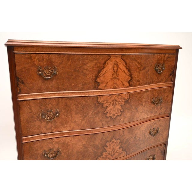 Brown Antique Serpentine Burr Walnut Chest of Drawers, 1930 For Sale - Image 8 of 10