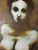 Brown 1968 Steve Bagnell Nj. " Nude " Oil Painting, Framed For Sale - Image 8 of 10