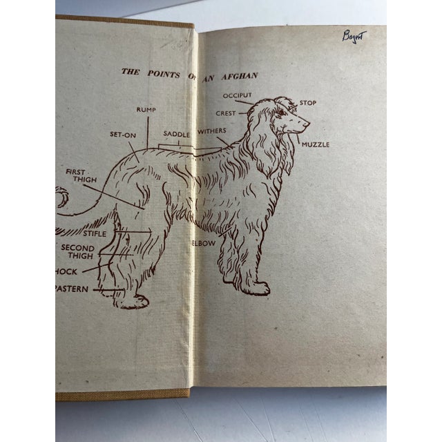 Illustration 1951 the Afghan Handbook Book For Sale - Image 3 of 10