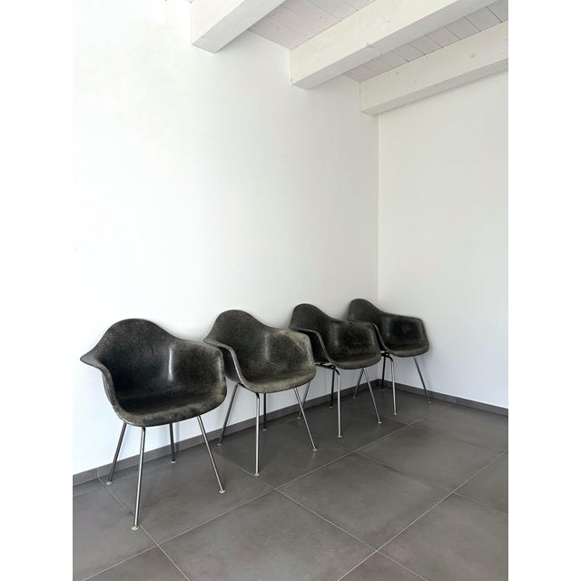 Dax Lounge Chairs by Charles and Ray Eames for Herman Miller, 1950s, Set of 4 For Sale - Image 12 of 13