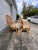 1980s Vintage Palm Beach Bent Rattan & Bamboo Dining Set With Glass Top & 4 Armchairs For Sale - Image 5 of 12