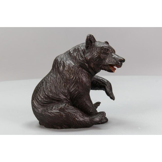 Antique Black Forest Carved Seated Bear Figure, 1890s For Sale - Image 12 of 18