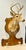 A fun and interesting conversation starter. This is a vintage taxidermy white-tailed 8 point deer shoulder mount with a...