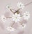 1970s Petite Murano Vintage Chandelier White Flowers, 1970 For Sale - Image 5 of 9