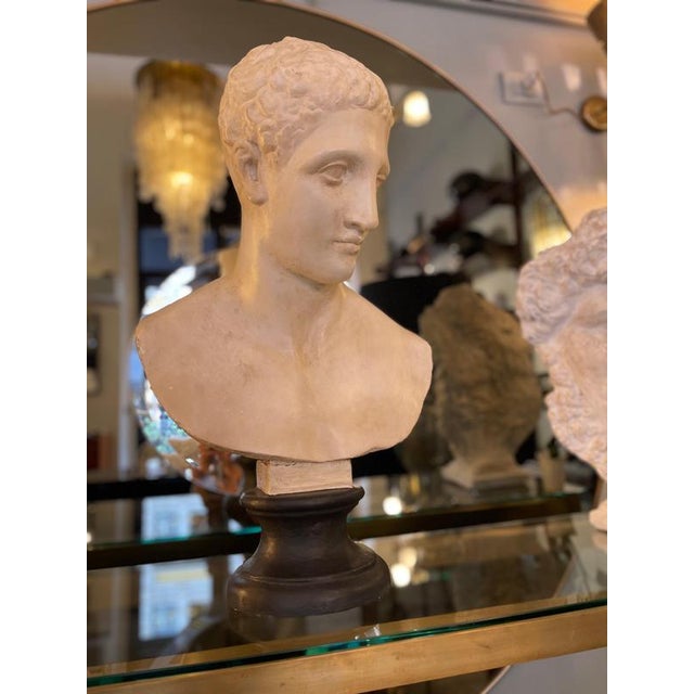 Early 20th Century Unknwon, Plaster Bust of the God Hermes, 1900, Gesso For Sale - Image 5 of 18