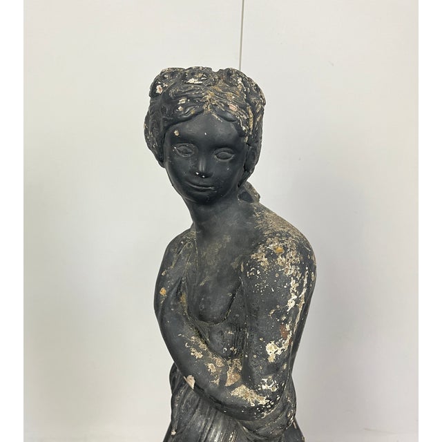 19th Century Venus Italica Ebonised Garden Statue For Sale - Image 4 of 15